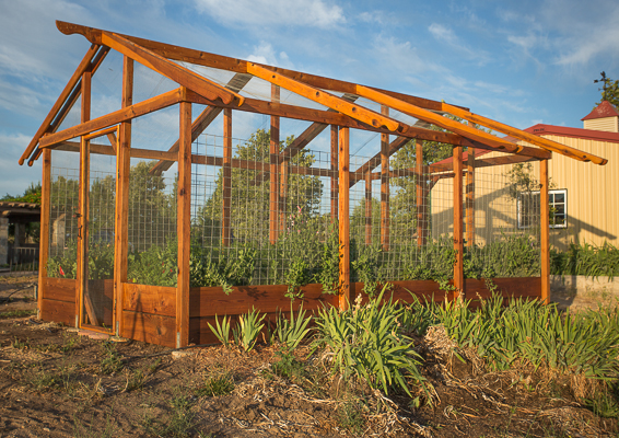 Veggie Palace #2