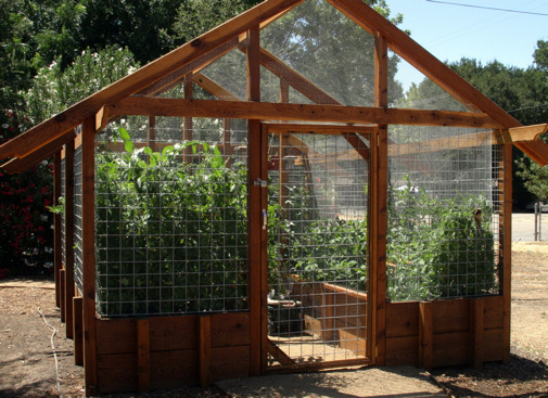 Vegtable Garden Condo!